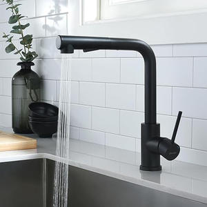 Pull Out 360° Swivel Spout Kitchen Faucet